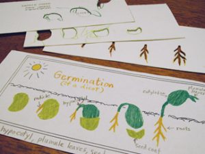 germinationstencils
