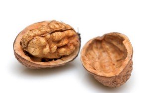 walnut-closeup-300x188